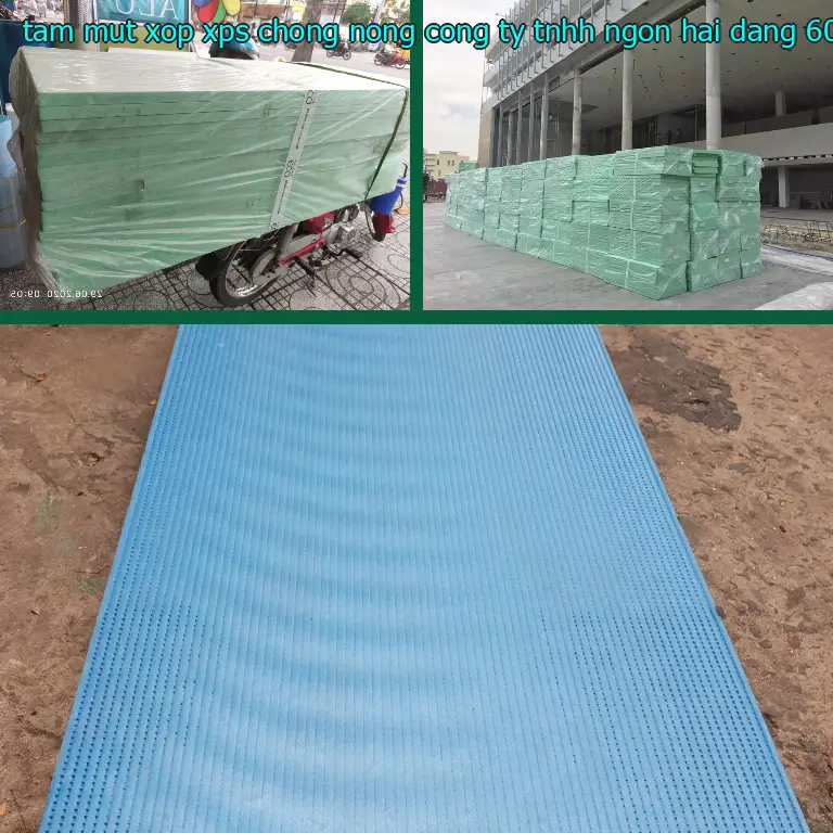 Kích thước tấm mút xốp XPS chống nóng Công ty TNHH Ngọn Hải Đăng: 60*160*2.9 cm Kích thước tấm mút xốp XPS chống nóng Công ty TNHH Ngọn Hải Đăng: 60*160*2.9 cm