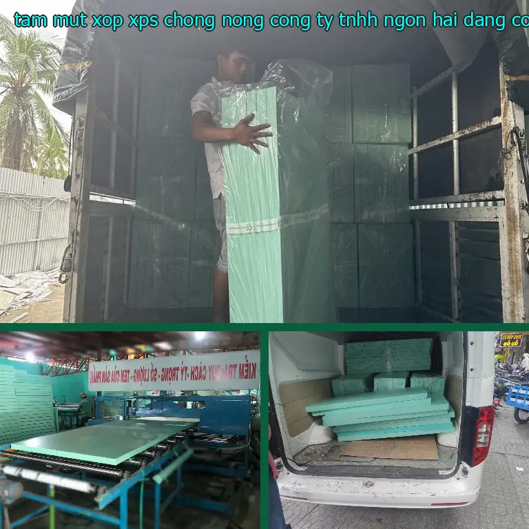 Nhà cung cấp tấm mút xốp XPS chống nóng Công ty TNHH Ngọn Hải Đăng: Công ty TNHH Ngọn Hải Đăng Nhà cung cấp tấm mút xốp XPS chống nóng Công ty TNHH Ngọn Hải Đăng: Công ty TNHH Ngọn Hải Đăng