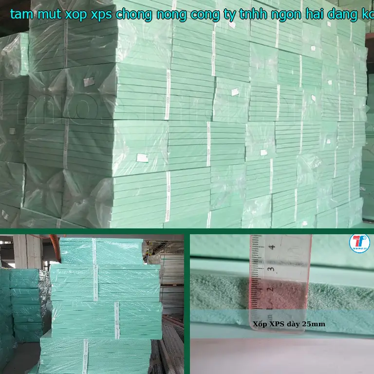 Model tấm mút xốp XPS chống nóng Công ty TNHH Ngọn Hải Đăng: KCWXBE Model tấm mút xốp XPS chống nóng Công ty TNHH Ngọn Hải Đăng: KCWXBE