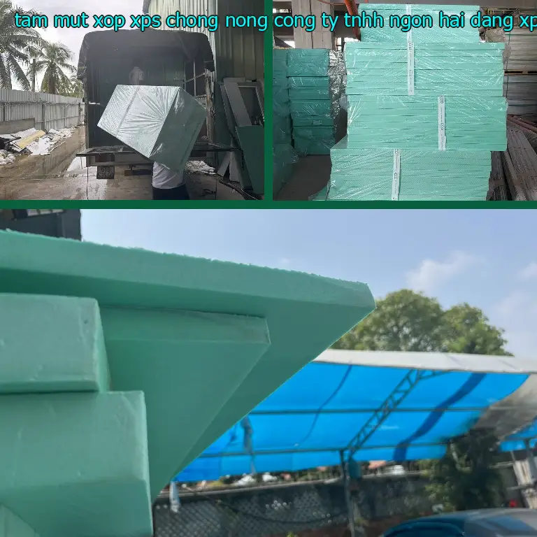 Danh mục tấm mút xốp XPS chống nóng Công ty TNHH Ngọn Hải Đăng: XPS Foam Danh mục tấm mút xốp XPS chống nóng Công ty TNHH Ngọn Hải Đăng: XPS Foam