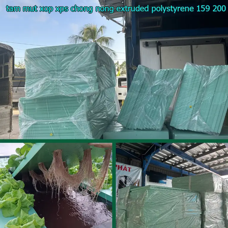 Giá tấm mút xốp XPS chống nóng Extruded Polystyrene: 159.200₫ Giá tấm mút xốp XPS chống nóng Extruded Polystyrene: 159.200₫