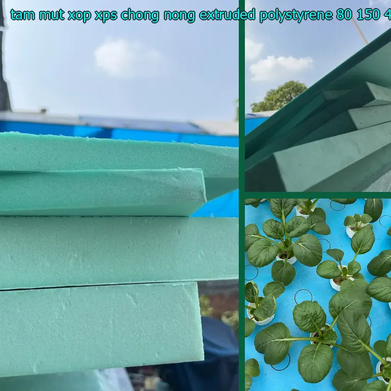 Kích thước tấm mút xốp XPS chống nóng Extruded Polystyrene: 80*150*4.8 cm Kích thước tấm mút xốp XPS chống nóng Extruded Polystyrene: 80*150*4.8 cm