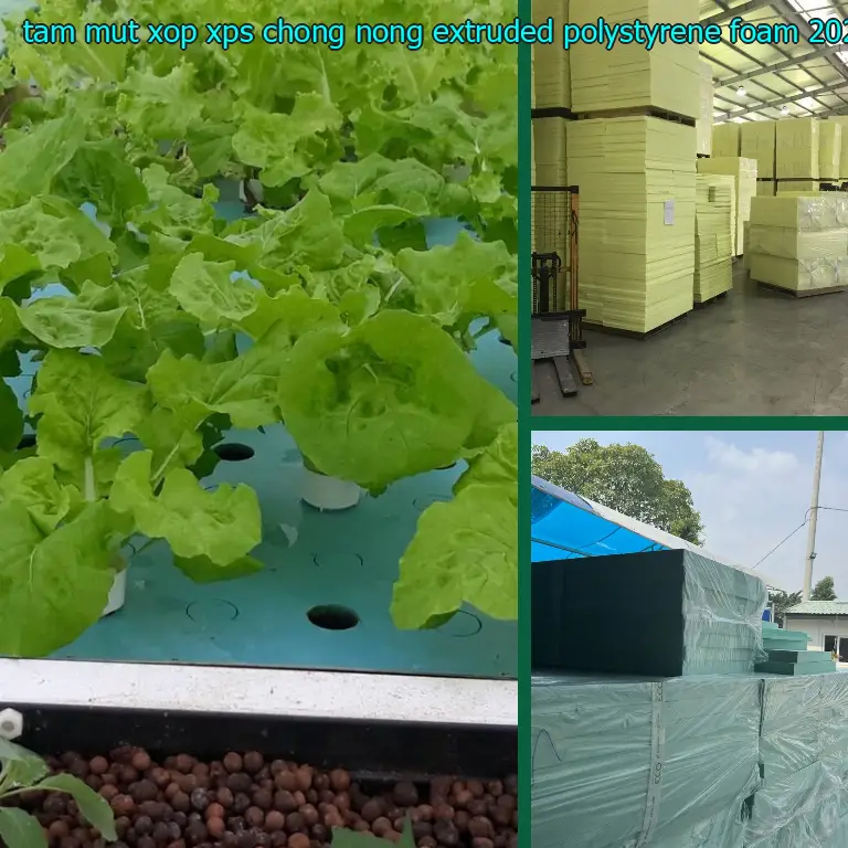 Ngày sản xuất tấm mút xốp XPS chống nóng Extruded Polystyrene Foam: 2024-08-09