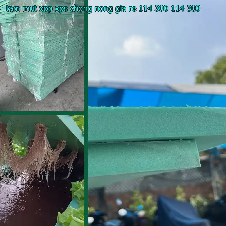 Giá tấm mút xốp XPS chống nóng giá rẻ 114.300₫: 114.300₫ Giá tấm mút xốp XPS chống nóng giá rẻ 114.300₫: 114.300₫