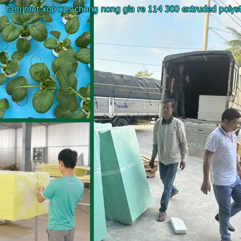 Chất liệu tấm mút xốp XPS chống nóng giá rẻ 114.300₫: Extruded Polystyrene Chất liệu tấm mút xốp XPS chống nóng giá rẻ 114.300₫: Extruded Polystyrene