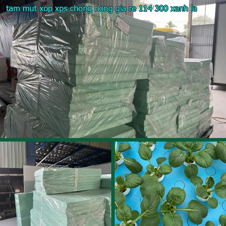 Màu sắc tấm mút xốp XPS chống nóng giá rẻ 114.300₫: Xanh lá Màu sắc tấm mút xốp XPS chống nóng giá rẻ 114.300₫: Xanh lá