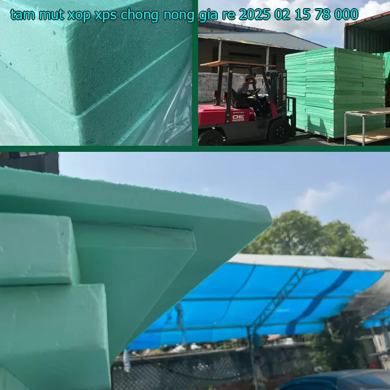 Giá tấm mút xốp XPS chống nóng giá rẻ 2025-02-15: 78.000₫ Giá tấm mút xốp XPS chống nóng giá rẻ 2025-02-15: 78.000₫