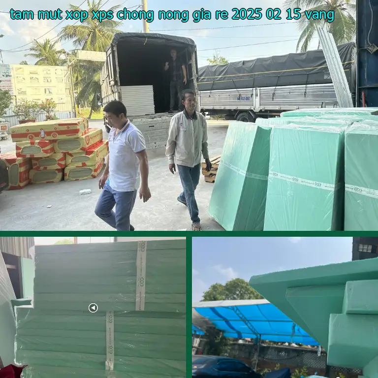 Màu sắc tấm mút xốp XPS chống nóng giá rẻ 2025-02-15: Vàng Màu sắc tấm mút xốp XPS chống nóng giá rẻ 2025-02-15: Vàng