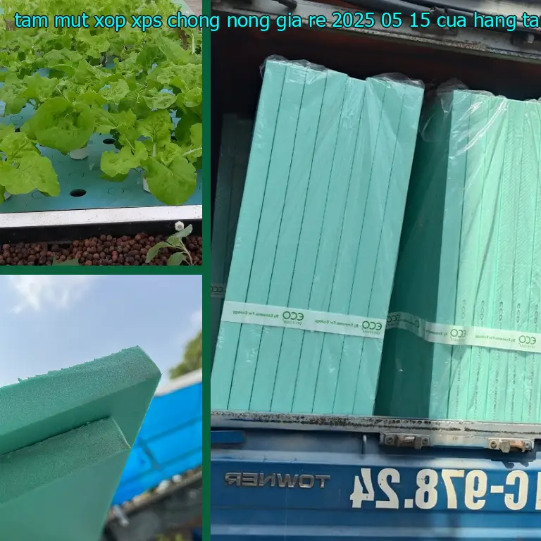 Nhà cung cấp tấm mút xốp XPS chống nóng giá rẻ 2025-05-15: Cửa hàng tấm xốp Mr.HẢI Nhà cung cấp tấm mút xốp XPS chống nóng giá rẻ 2025-05-15: Cửa hàng tấm xốp Mr.HẢI