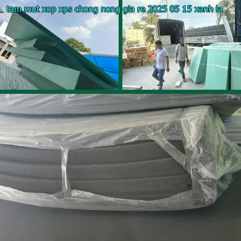 Màu sắc tấm mút xốp XPS chống nóng giá rẻ 2025-05-15: Xanh lá Màu sắc tấm mút xốp XPS chống nóng giá rẻ 2025-05-15: Xanh lá
