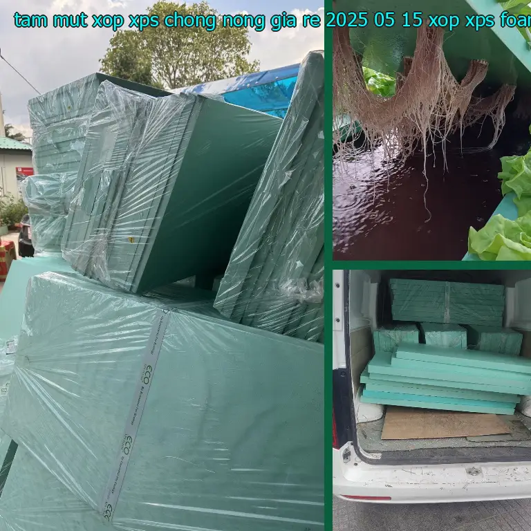 Danh mục tấm mút xốp XPS chống nóng giá rẻ 2025-05-15: Xốp XPS Foam Danh mục tấm mút xốp XPS chống nóng giá rẻ 2025-05-15: Xốp XPS Foam