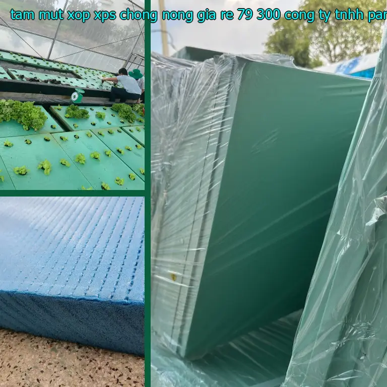 Nhà sản xuất tấm mút xốp XPS chống nóng giá rẻ 79.300₫: Công ty TNHH Panel Chính Hãng Nhà sản xuất tấm mút xốp XPS chống nóng giá rẻ 79.300₫: Công ty TNHH Panel Chính Hãng