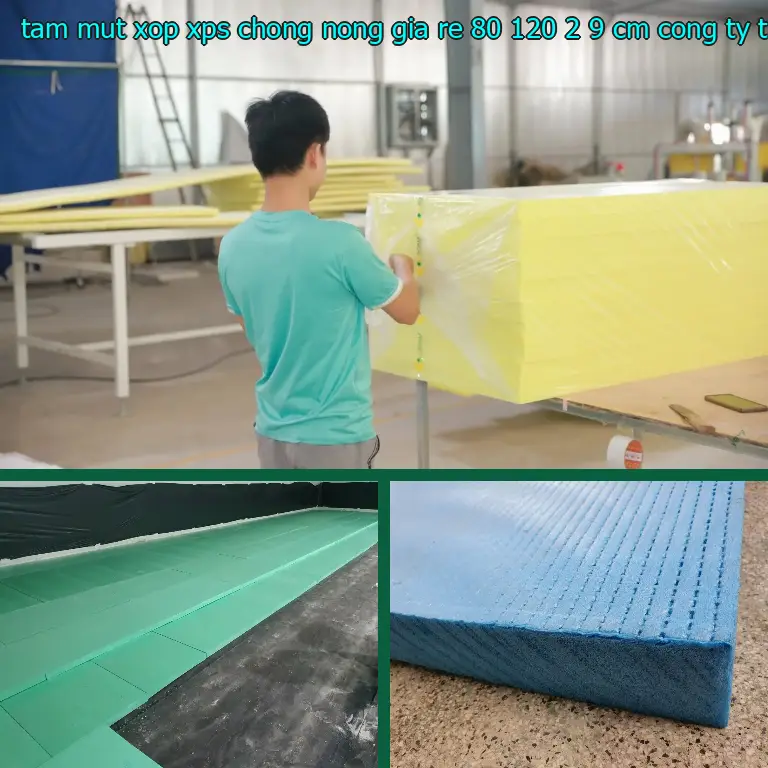 Nhà cung cấp tấm mút xốp XPS chống nóng giá rẻ 80*120*2.9 cm: Công ty TNHH Ngọn Hải Đăng