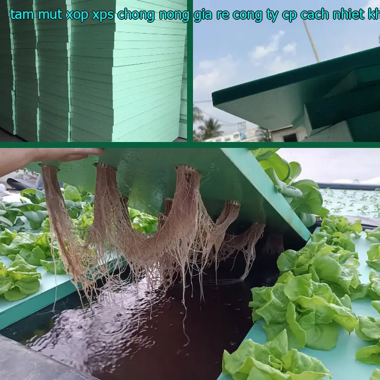 Tấm mút xốp XPS chống nóng giá rẻ Công ty CP cách nhiệt Khải Hoàn