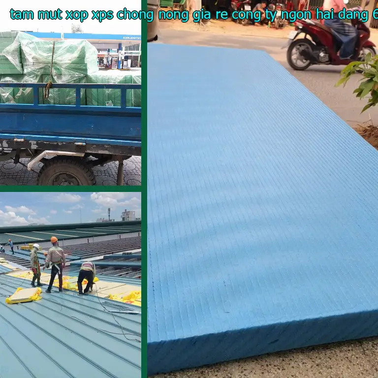 Đơn giá tấm mút xốp XPS chống nóng giá rẻ Công ty Ngọn Hải Đăng: 69.500₫ Đơn giá tấm mút xốp XPS chống nóng giá rẻ Công ty Ngọn Hải Đăng: 69.500₫