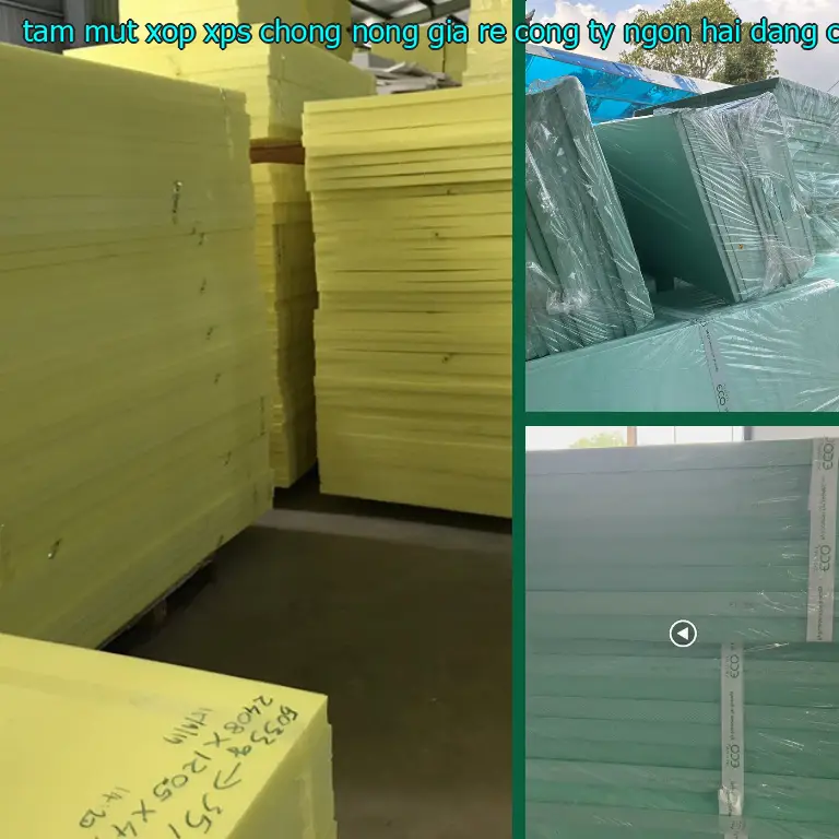 Nhà cung cấp tấm mút xốp XPS chống nóng giá rẻ Công ty Ngọn Hải Đăng: Công ty Ngọn Hải Đăng Nhà cung cấp tấm mút xốp XPS chống nóng giá rẻ Công ty Ngọn Hải Đăng: Công ty Ngọn Hải Đăng