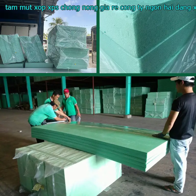 Danh mục tấm mút xốp XPS chống nóng giá rẻ Công ty Ngọn Hải Đăng: XPS Foam Board Danh mục tấm mút xốp XPS chống nóng giá rẻ Công ty Ngọn Hải Đăng: XPS Foam Board