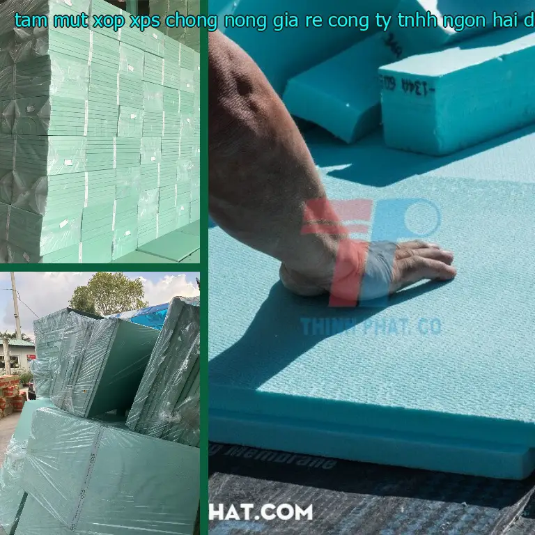 Danh mục tấm mút xốp XPS chống nóng giá rẻ Công ty TNHH Ngọn Hải Đăng: Xốp XPS Foam