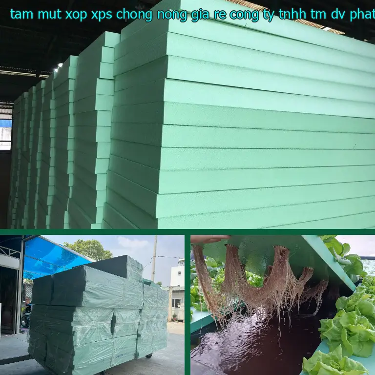 Tấm mút xốp XPS chống nóng giá rẻ Công ty TNHH TM - DV - phát triển Việt Hưng