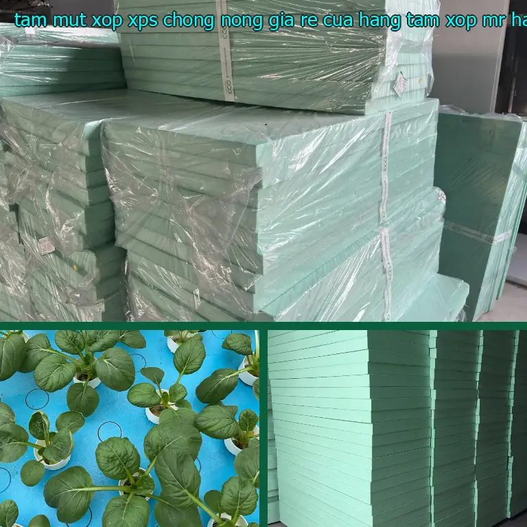 Nhà cung cấp tấm mút xốp XPS chống nóng giá rẻ Cửa hàng tấm xốp Mr.HẢI: Cửa hàng tấm xốp Mr.HẢI Nhà cung cấp tấm mút xốp XPS chống nóng giá rẻ Cửa hàng tấm xốp Mr.HẢI: Cửa hàng tấm xốp Mr.HẢI