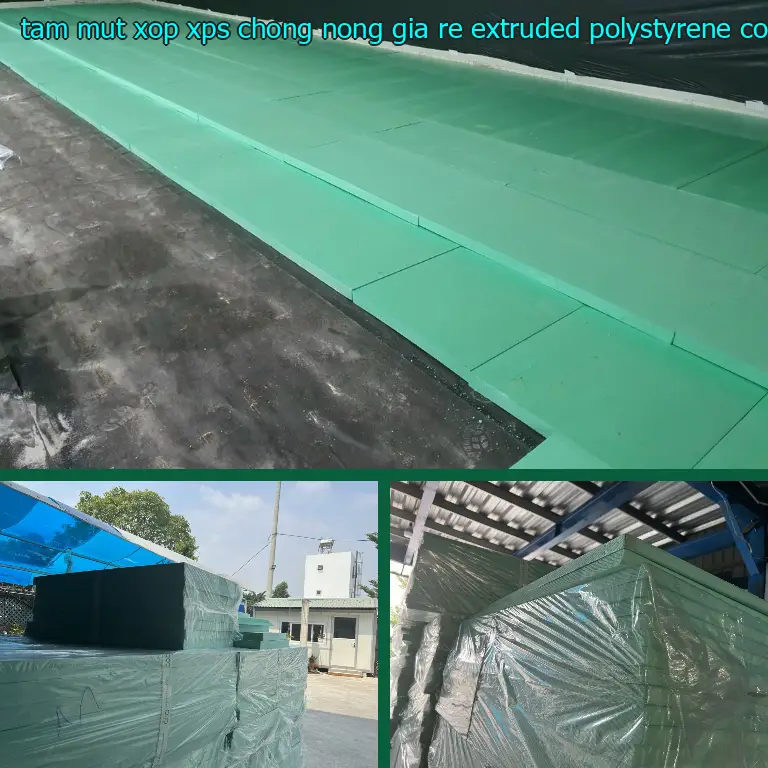Nhà cung cấp tấm mút xốp XPS chống nóng giá rẻ Extruded Polystyrene: Công ty Ngọn Hải Đăng Nhà cung cấp tấm mút xốp XPS chống nóng giá rẻ Extruded Polystyrene: Công ty Ngọn Hải Đăng