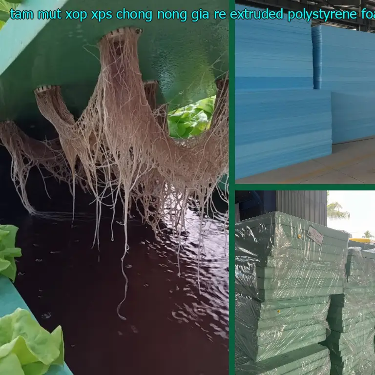 Nhà sản xuất tấm mút xốp XPS chống nóng giá rẻ Extruded Polystyrene Foam: Công ty CP đầu tư và thương mại AK Việt Nam Nhà sản xuất tấm mút xốp XPS chống nóng giá rẻ Extruded Polystyrene Foam: Công ty CP đầu tư và thương mại AK Việt Nam
