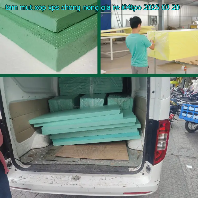 Ngày sản xuất tấm mút xốp XPS chống nóng giá rẻ I04TPO: 2025-03-20 Ngày sản xuất tấm mút xốp XPS chống nóng giá rẻ I04TPO: 2025-03-20