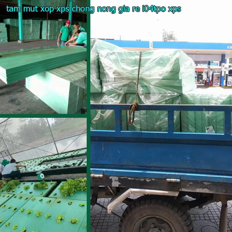 Chất liệu tấm mút xốp XPS chống nóng giá rẻ I04TPO: XPS Chất liệu tấm mút xốp XPS chống nóng giá rẻ I04TPO: XPS