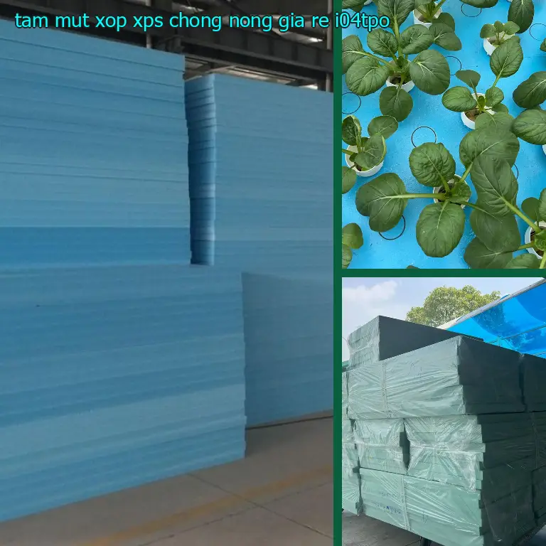 Tấm mút xốp XPS chống nóng giá rẻ I04TPO