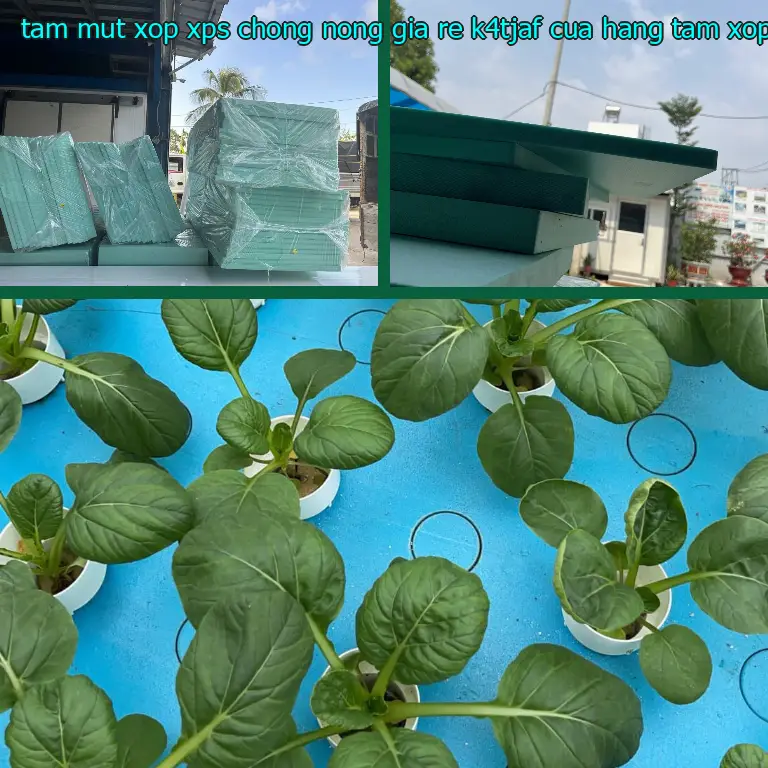 Nhà cung cấp tấm mút xốp XPS chống nóng giá rẻ K4TJAF: Cửa hàng tấm xốp Mr.HẢI