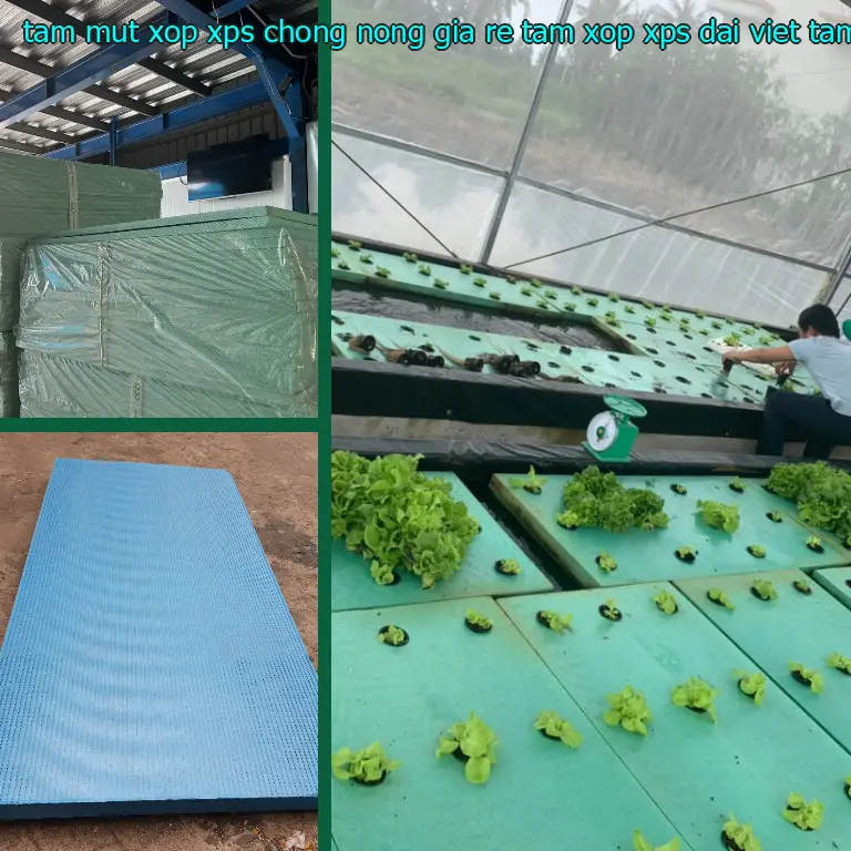 Nhà sản xuất tấm mút xốp XPS chống nóng giá rẻ Tấm xốp XPS Đại Việt: Tấm xốp XPS Đại Việt Nhà sản xuất tấm mút xốp XPS chống nóng giá rẻ Tấm xốp XPS Đại Việt: Tấm xốp XPS Đại Việt