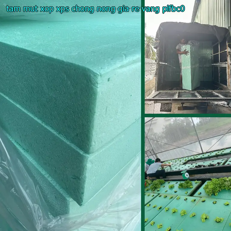 Model tấm mút xốp XPS chống nóng giá rẻ Vàng: PLFBC0