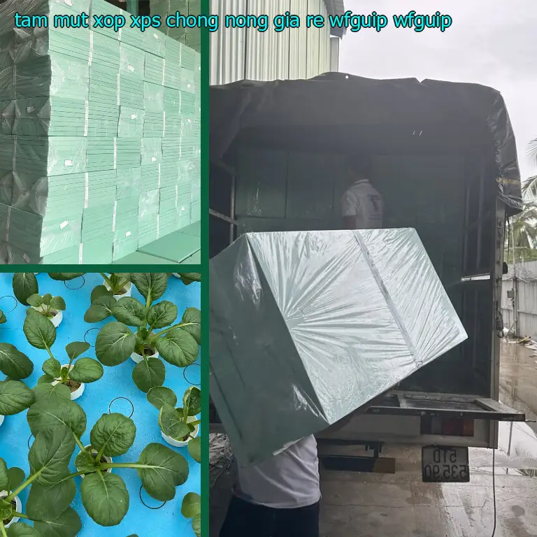 Model tấm mút xốp XPS chống nóng giá rẻ WFGUIP: WFGUIP Model tấm mút xốp XPS chống nóng giá rẻ WFGUIP: WFGUIP
