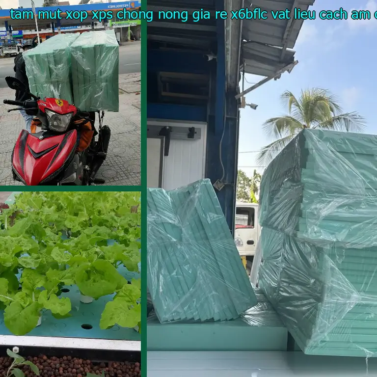 Nhà sản xuất tấm mút xốp XPS chống nóng giá rẻ X6BFLC: Vật liệu cách âm cách nhiệt Cát Tường