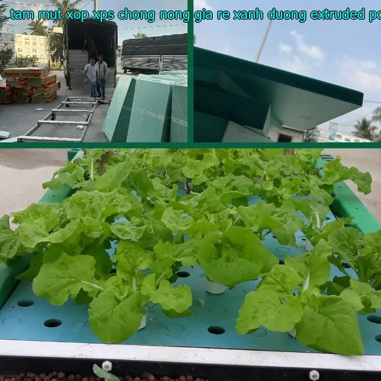 Chất liệu tấm mút xốp XPS chống nóng giá rẻ Xanh dương: Extruded Polystyrene Chất liệu tấm mút xốp XPS chống nóng giá rẻ Xanh dương: Extruded Polystyrene