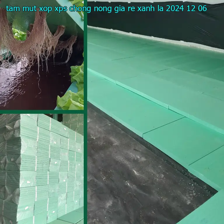 Ngày sản xuất tấm mút xốp XPS chống nóng giá rẻ Xanh lá: 2024-12-06