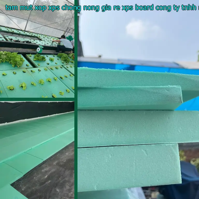 Nhà cung cấp tấm mút xốp XPS chống nóng giá rẻ XPS Board: Công ty TNHH Ngọn Hải Đăng Nhà cung cấp tấm mút xốp XPS chống nóng giá rẻ XPS Board: Công ty TNHH Ngọn Hải Đăng