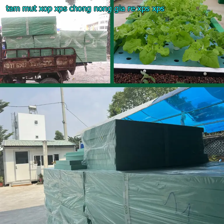 Chất liệu tấm mút xốp XPS chống nóng giá rẻ XPS: XPS Chất liệu tấm mút xốp XPS chống nóng giá rẻ XPS: XPS