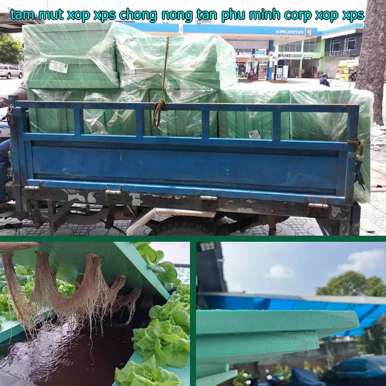 Danh mục tấm mút xốp XPS chống nóng Tân Phú Minh Corp: Xốp XPS