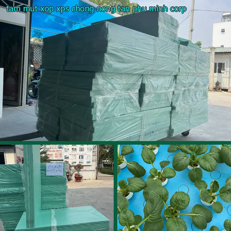 Tấm mút xốp XPS chống nóng Tân Phú Minh Corp