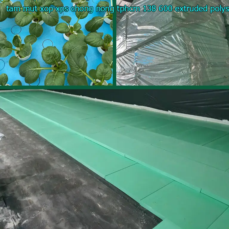 Chất liệu tấm mút xốp XPS chống nóng TpHCM 138.600₫: Extruded Polystyrene Foam Chất liệu tấm mút xốp XPS chống nóng TpHCM 138.600₫: Extruded Polystyrene Foam