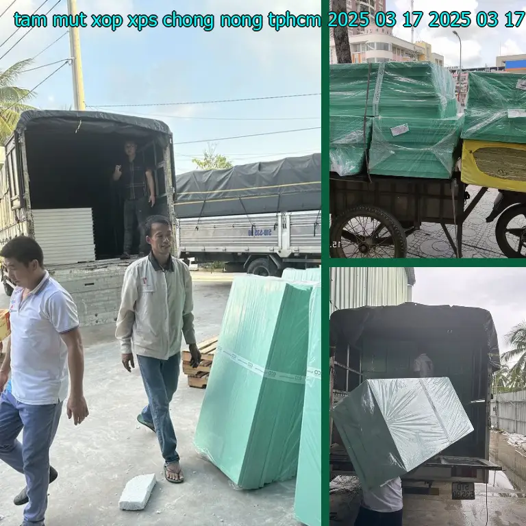 Ngày sản xuất tấm mút xốp XPS chống nóng TpHCM 2025-03-17: 2025-03-17 Ngày sản xuất tấm mút xốp XPS chống nóng TpHCM 2025-03-17: 2025-03-17