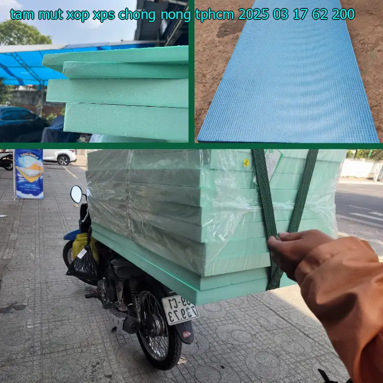 Đơn giá tấm mút xốp XPS chống nóng TpHCM 2025-03-17: 62.200₫ Đơn giá tấm mút xốp XPS chống nóng TpHCM 2025-03-17: 62.200₫