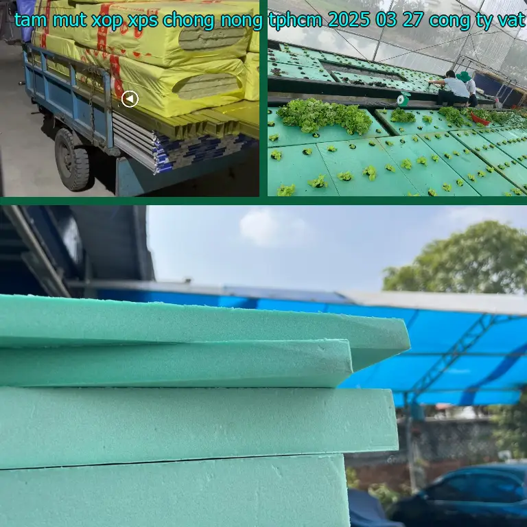 Nhà sản xuất tấm mút xốp XPS chống nóng TpHCM 2025-03-27: Công ty vật liệu cách nhiệt Việt Nhật