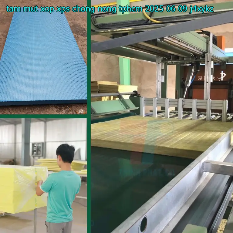 Model tấm mút xốp XPS chống nóng TpHCM 2025-06-09: J4XYKZ