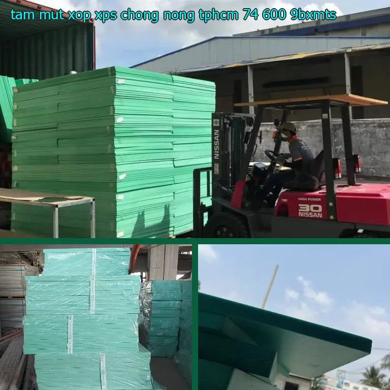 Model tấm mút xốp XPS chống nóng TpHCM 74.600₫: 9BXMTS Model tấm mút xốp XPS chống nóng TpHCM 74.600₫: 9BXMTS