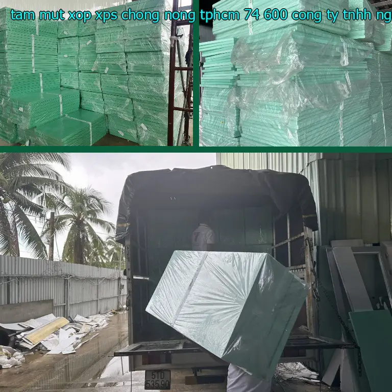 Nhà cung cấp tấm mút xốp XPS chống nóng TpHCM 74.600₫: Công ty TNHH Ngọn Hải Đăng Nhà cung cấp tấm mút xốp XPS chống nóng TpHCM 74.600₫: Công ty TNHH Ngọn Hải Đăng