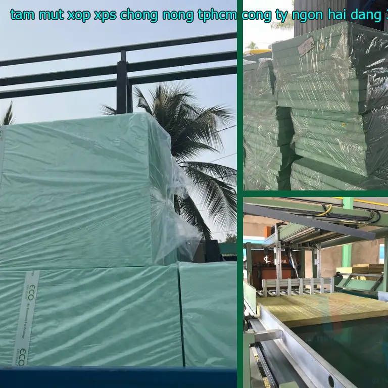 Model tấm mút xốp XPS chống nóng TpHCM Công ty Ngọn Hải Đăng: 3QKCXI Model tấm mút xốp XPS chống nóng TpHCM Công ty Ngọn Hải Đăng: 3QKCXI