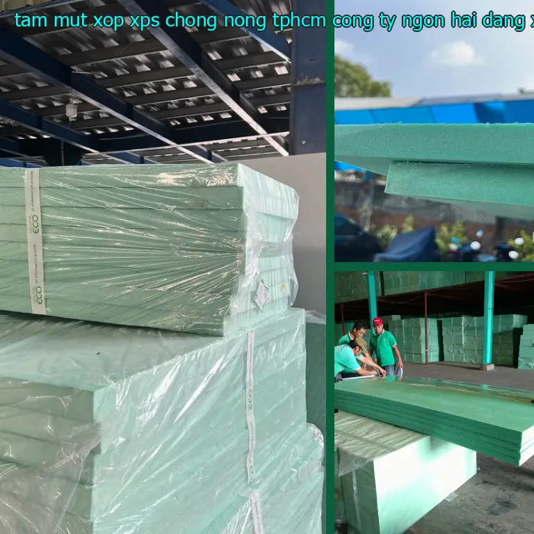 Chất liệu tấm mút xốp XPS chống nóng TpHCM Công ty Ngọn Hải Đăng: XPS Chất liệu tấm mút xốp XPS chống nóng TpHCM Công ty Ngọn Hải Đăng: XPS