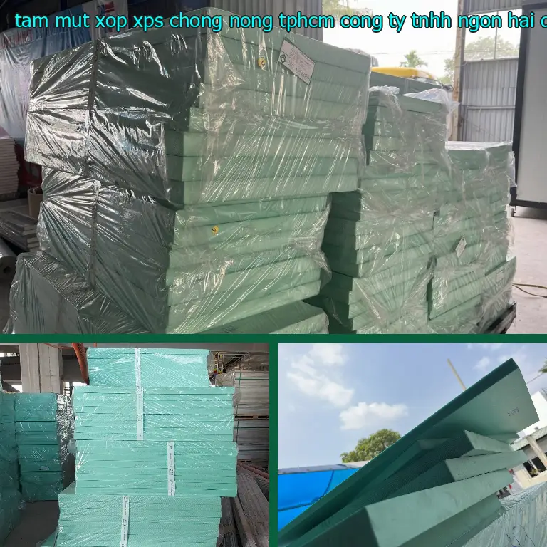Nhà cung cấp tấm mút xốp XPS chống nóng TpHCM Công ty TNHH Ngọn Hải Đăng: Công ty TNHH Ngọn Hải Đăng Nhà cung cấp tấm mút xốp XPS chống nóng TpHCM Công ty TNHH Ngọn Hải Đăng: Công ty TNHH Ngọn Hải Đăng